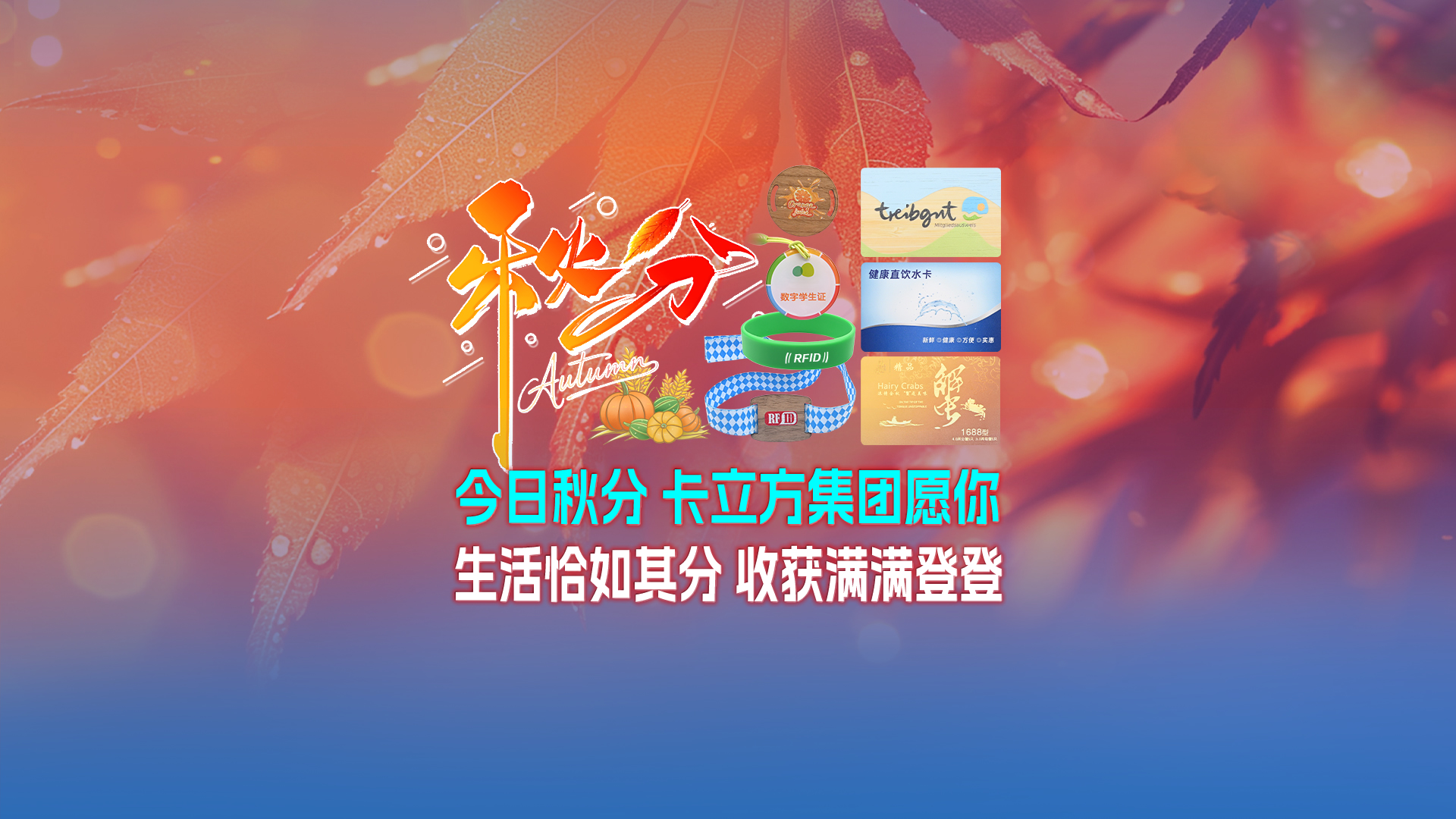 秋分至，卡立方集團智能卡工廠以RFID多元化物聯網產品科技賦能萬物互聯