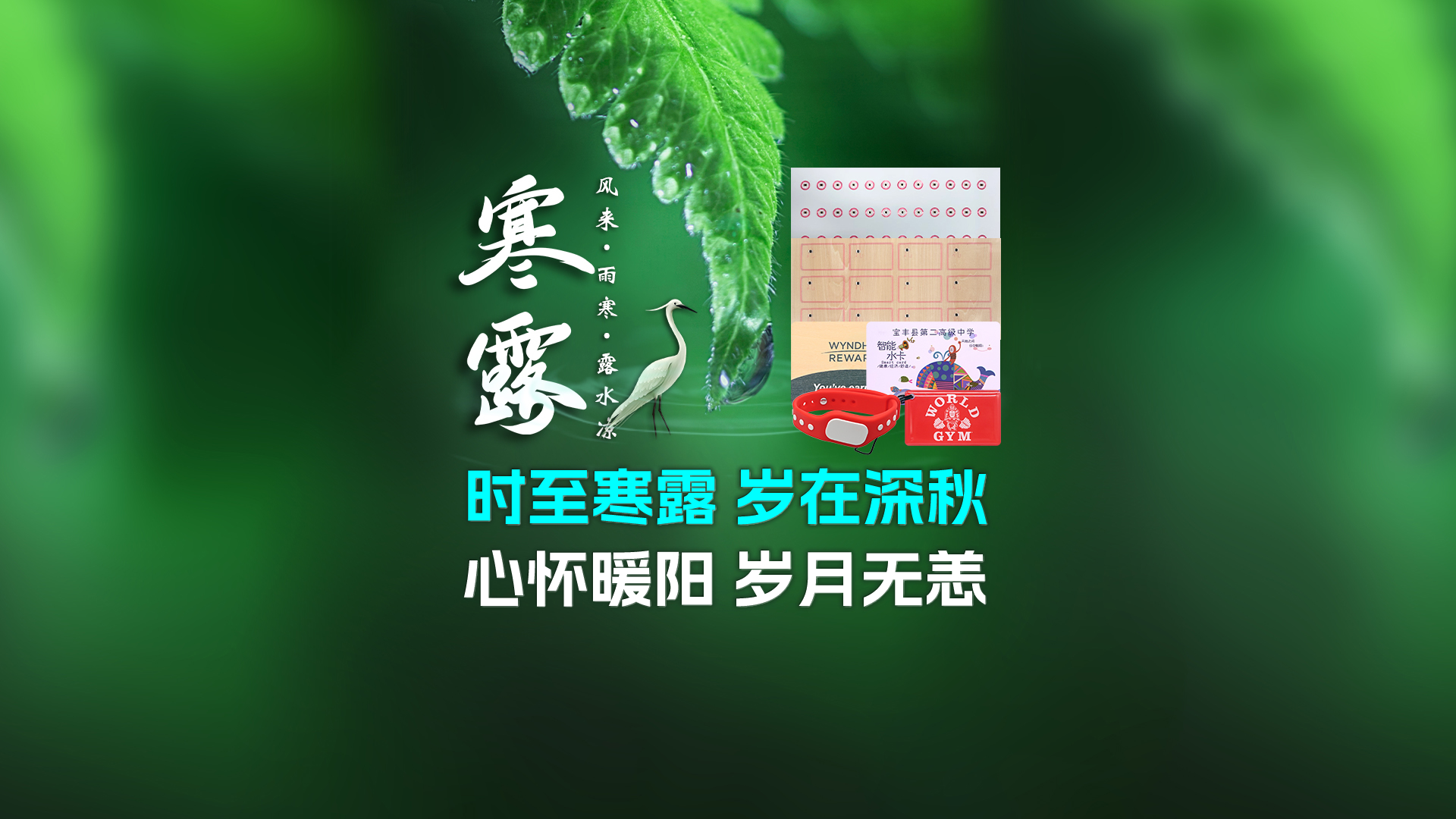寒露至秋意濃，卡立方集團攜RFID智能卡中料木卡腕帶伴您暖度深秋